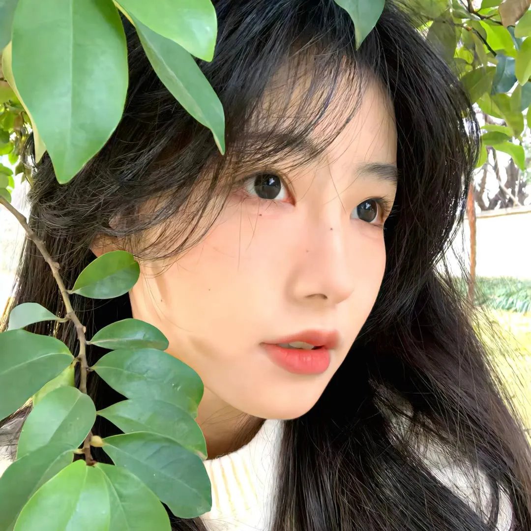 魅影追击